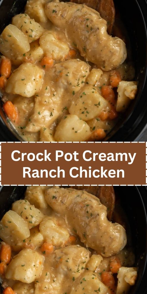 Crock Pot Creamy Ranch Chicken