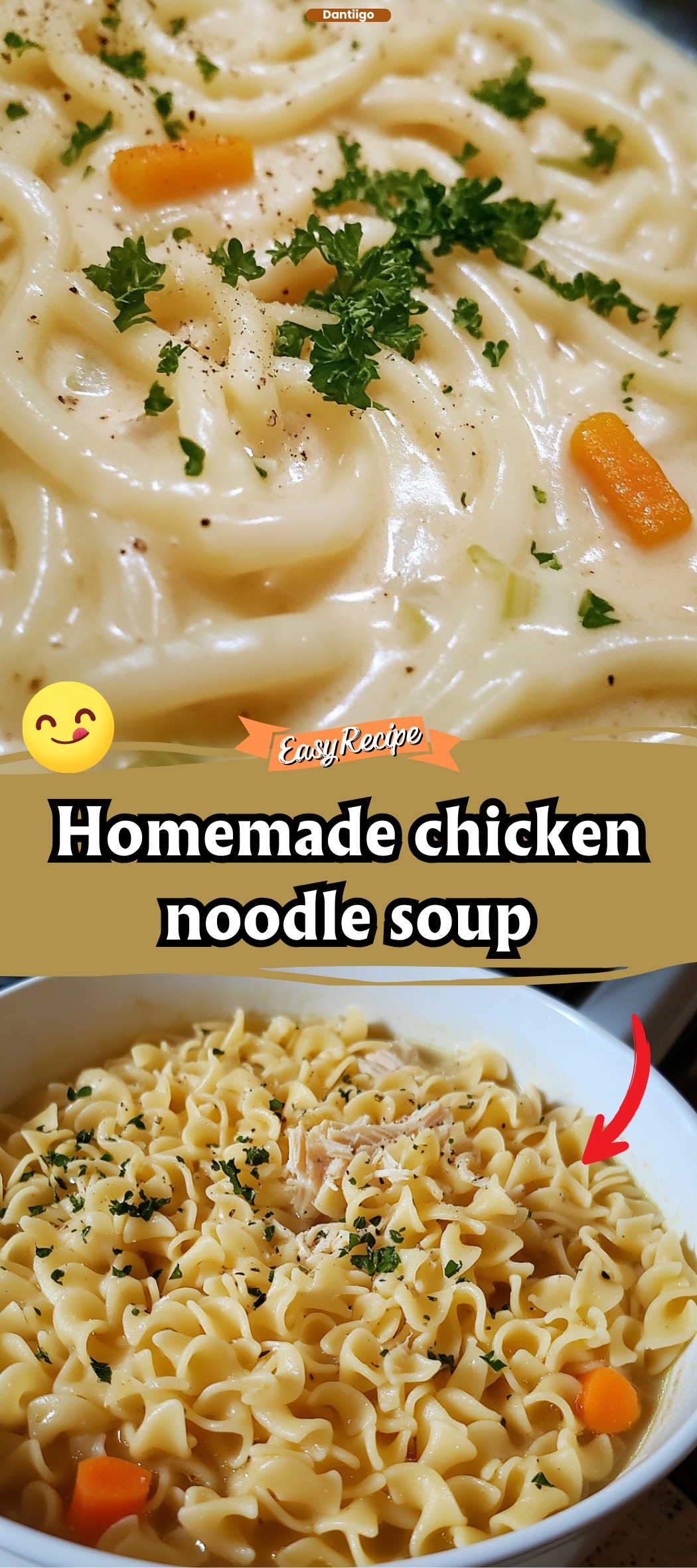 Homemade chicken noodle soup