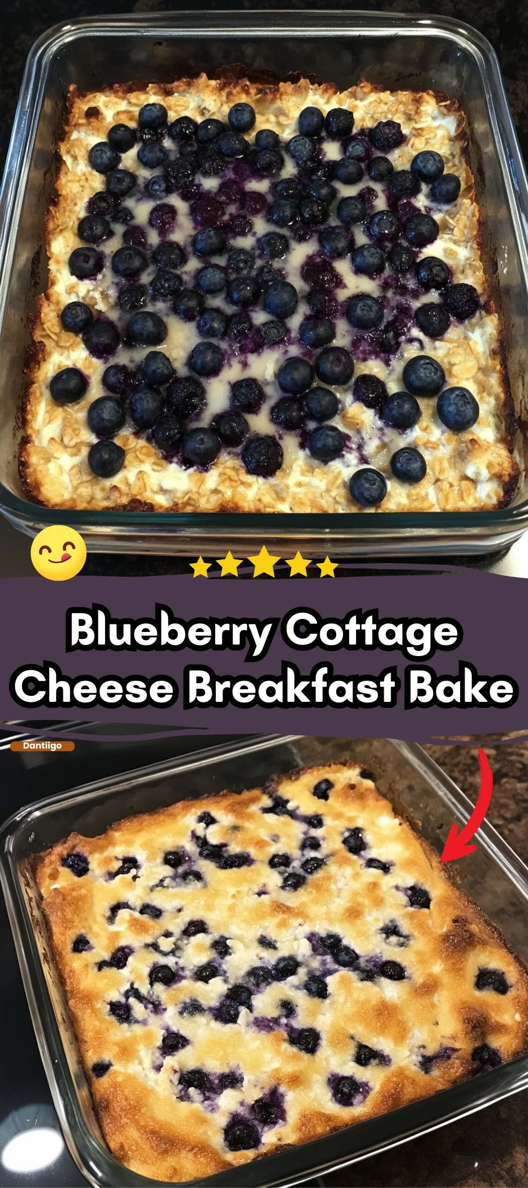 Blueberry Cottage Cheese Breakfast Bake