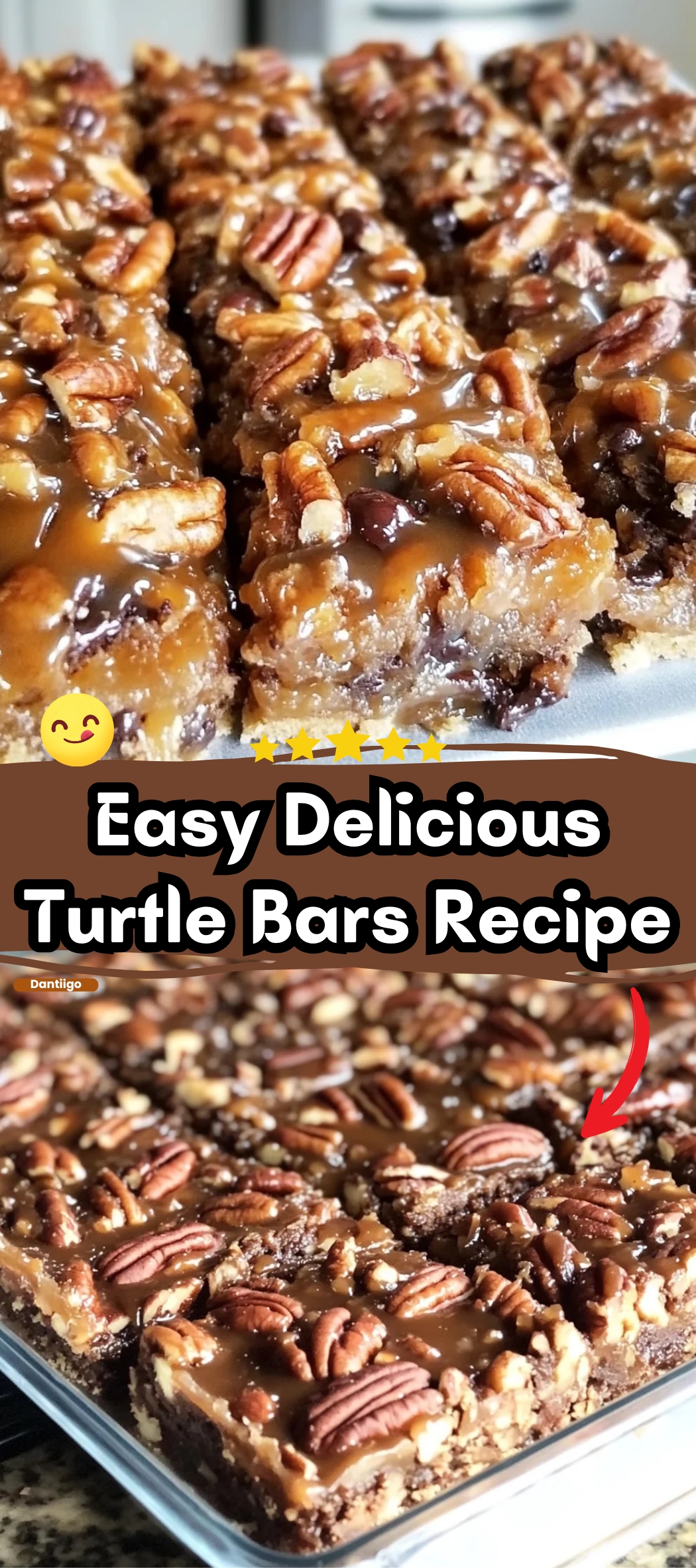 Best Turtle Bars
